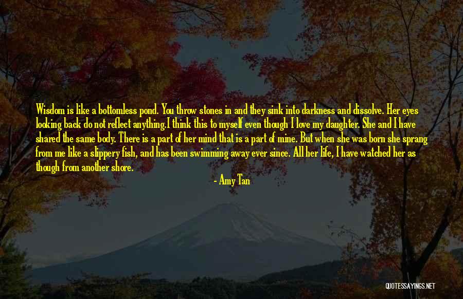 A Mother Love Is Like Quotes By Amy Tan