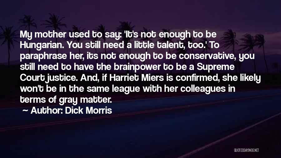 A Mother Quotes By Dick Morris