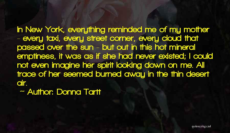 A Mother That Has Passed Away Quotes By Donna Tartt