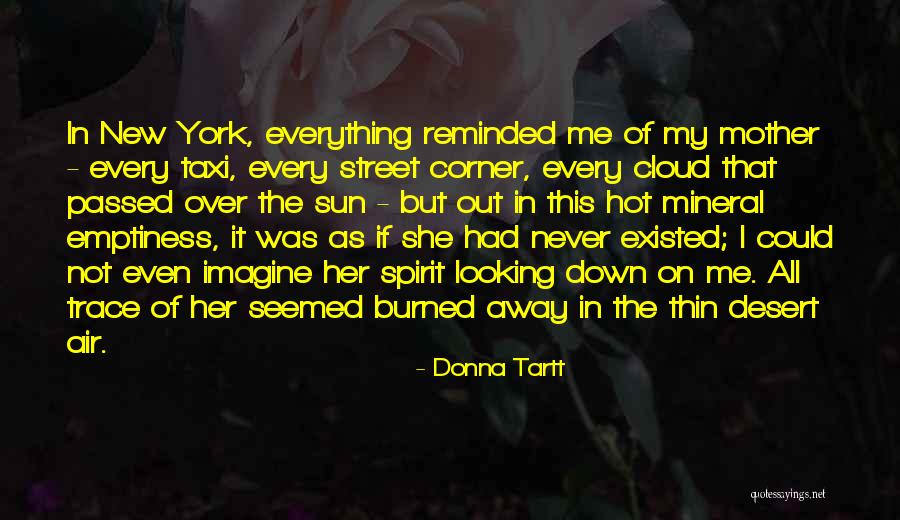 A Mother That Has Passed Away Quotes By Donna Tartt