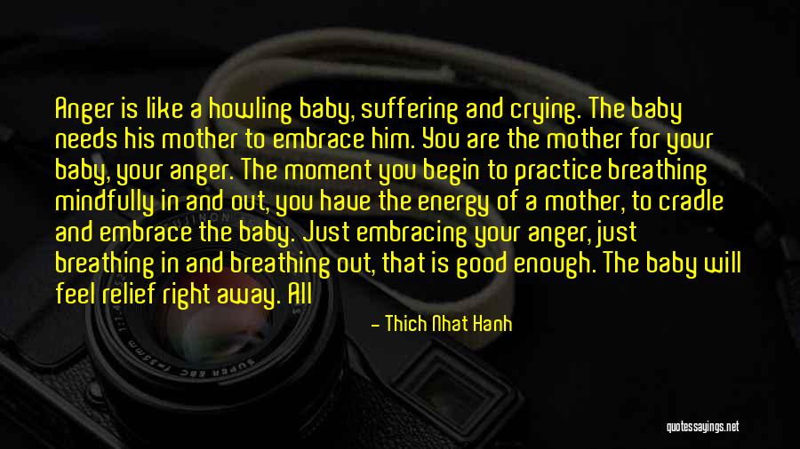 A Mother's Embrace Quotes By Thich Nhat Hanh