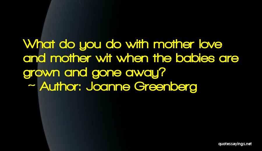 A Mother's Love For Her Baby Quotes By Joanne Greenberg