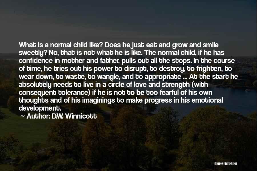 A Mother's Love For Their Child Quotes By D.W. Winnicott