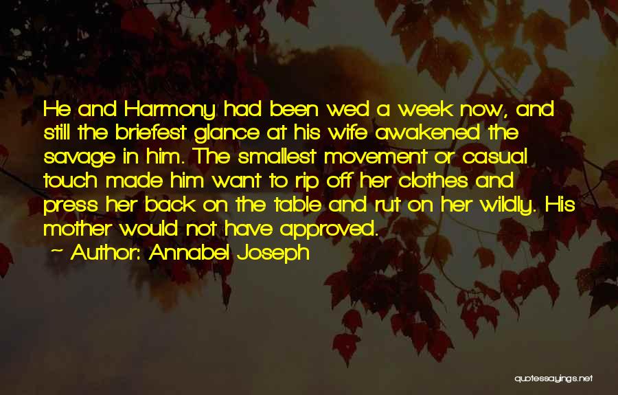 A Mother's Touch Quotes By Annabel Joseph