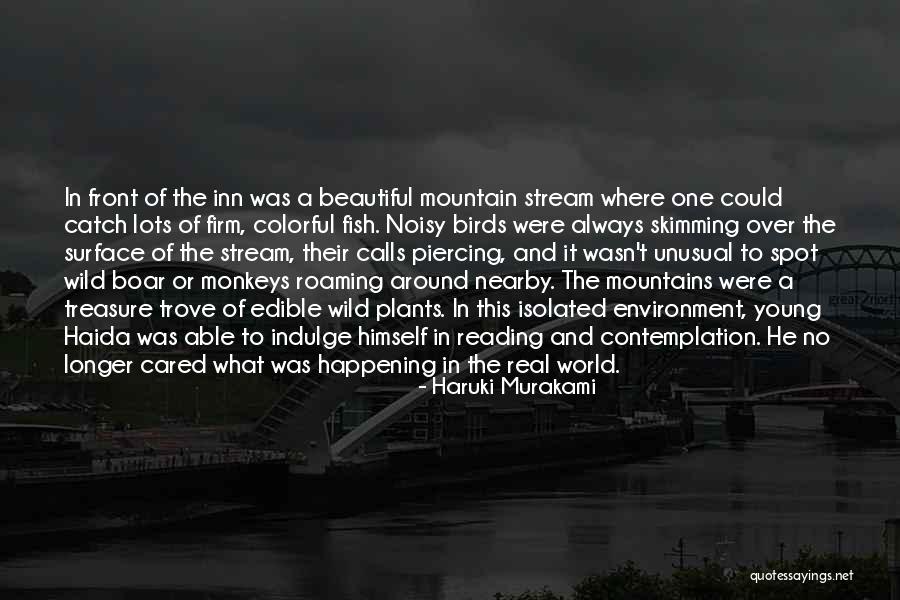 A Mountain Quotes By Haruki Murakami A Mountain Quotes By Haruki Murakami