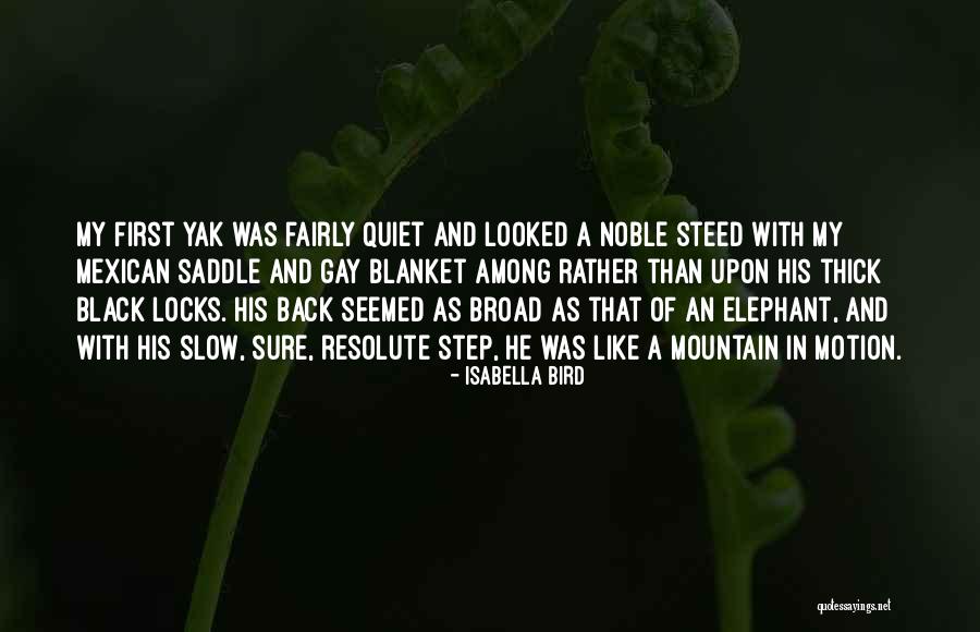 A Mountain Quotes By Isabella Bird A Mountain Quotes By Isabella Bird