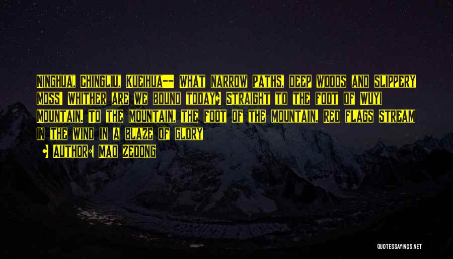 A Mountain Stream Quotes By Mao Zedong