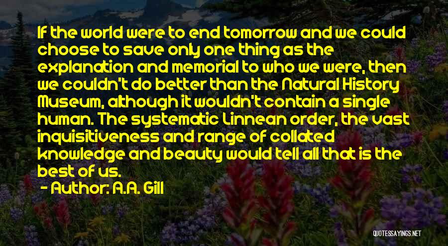 A Museum Quotes By A.A. Gill