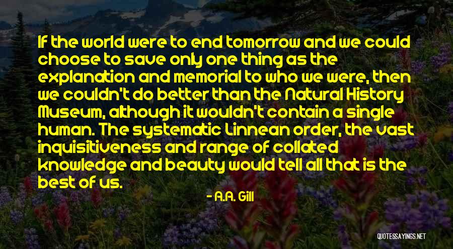 A Museum Quotes By A.A. Gill