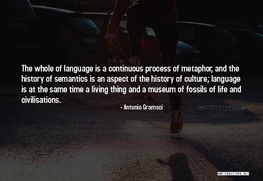 A Museum Quotes By Antonio Gramsci