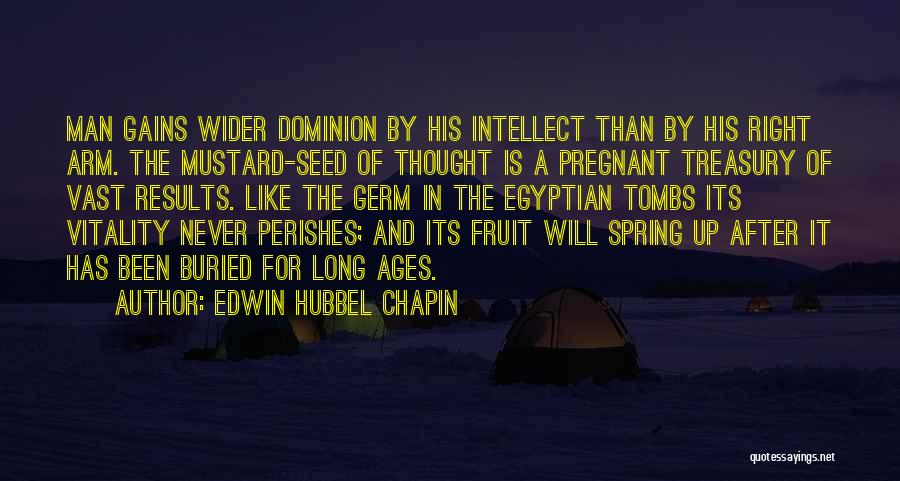 A Mustard Seed Quotes By Edwin Hubbel Chapin