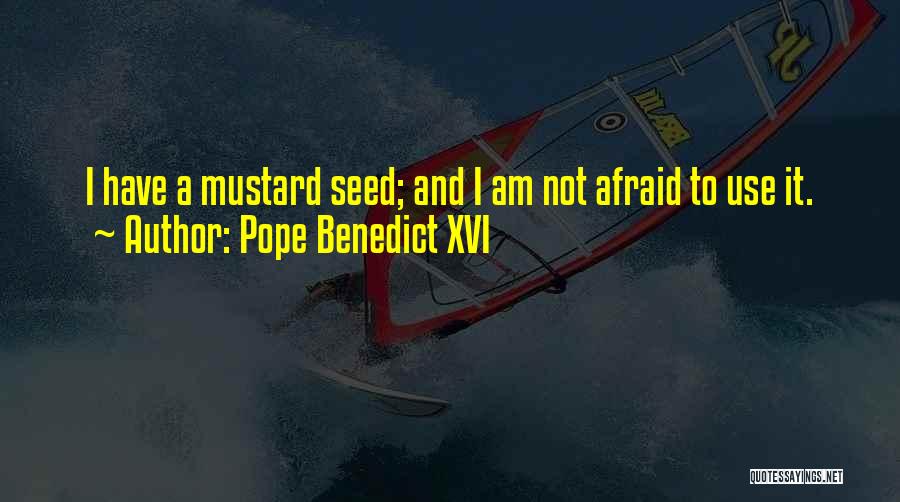 A Mustard Seed Quotes By Pope Benedict XVI