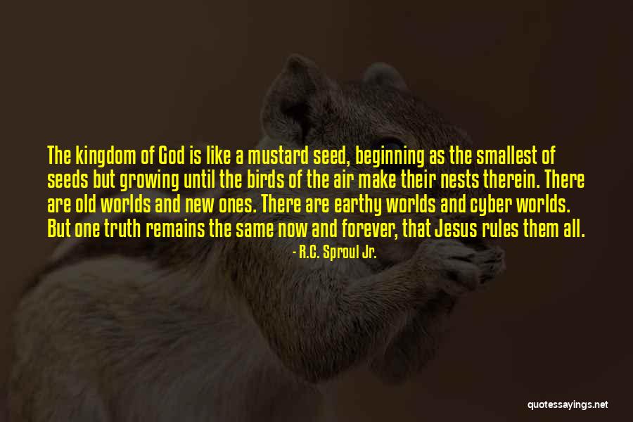 A Mustard Seed Quotes By R.C. Sproul Jr.