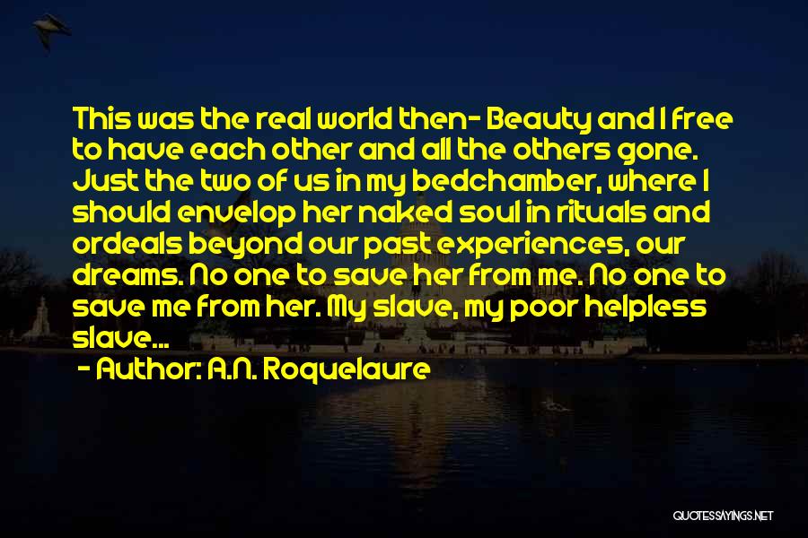 A.N. Roquelaure Quotes 1427115