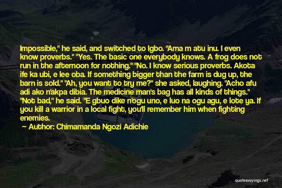 A.n.t Farm Quotes By Chimamanda Ngozi Adichie