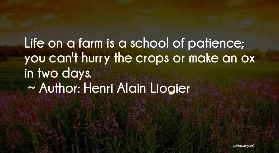 A.n.t Farm Quotes By Henri Alain Liogier