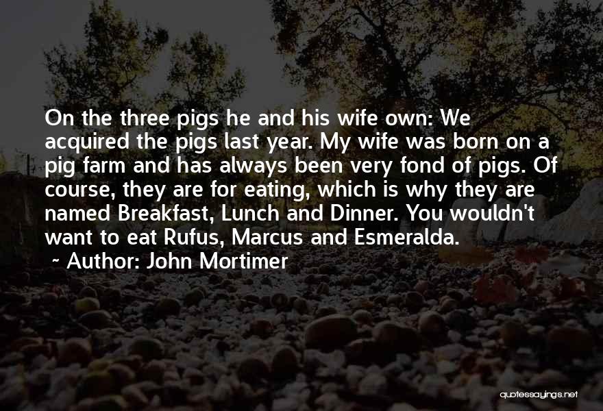A.n.t Farm Quotes By John Mortimer