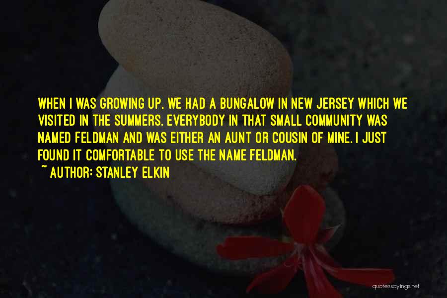 A New Aunt Quotes By Stanley Elkin