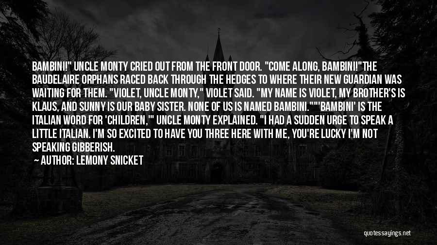 A New Baby Brother Quotes By Lemony Snicket