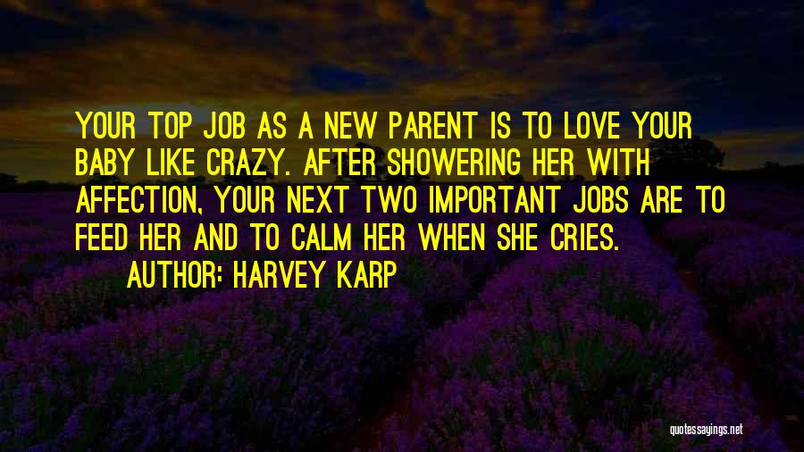 A New Baby On The Way Quotes By Harvey Karp