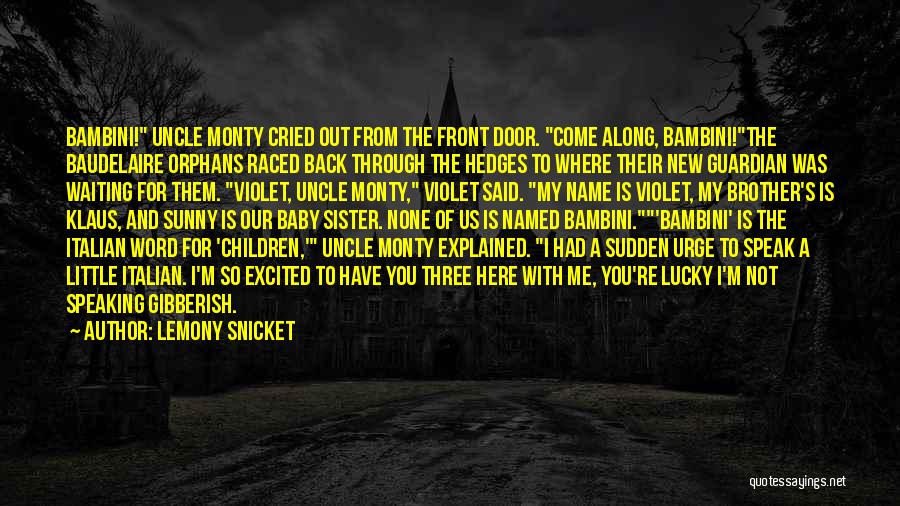 A New Baby Quotes By Lemony Snicket