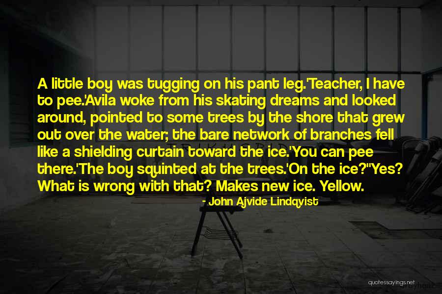A New Boy You Like Quotes By John Ajvide Lindqvist A New Boy You Like Quotes By John Ajvide Lindqvist