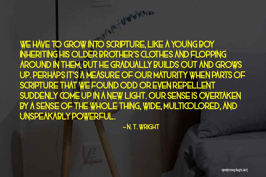 A New Boy You Like Quotes By N. T. Wright A New Boy You Like Quotes By N. T. Wright