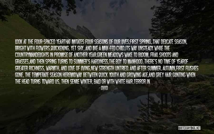 A New Boy You Like Quotes By Ovid A New Boy You Like Quotes By Ovid