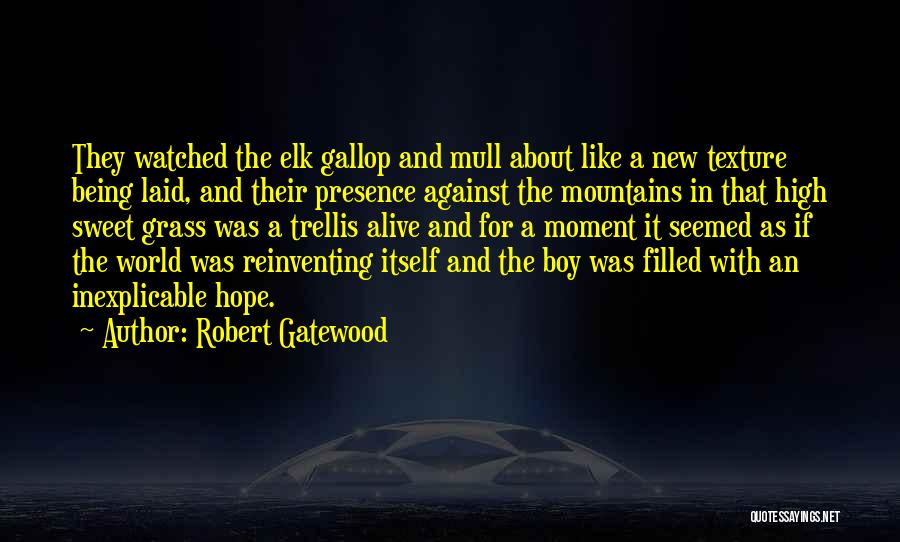 A New Boy You Like Quotes By Robert Gatewood