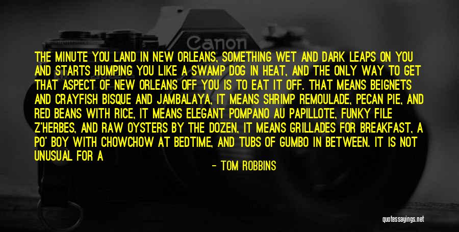 A New Boy You Like Quotes By Tom Robbins