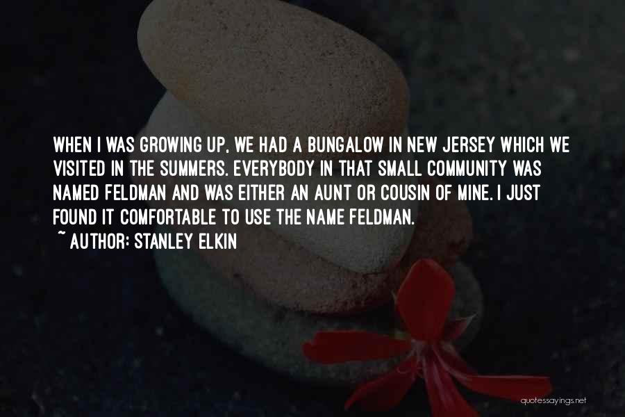 A New Cousin Quotes By Stanley Elkin