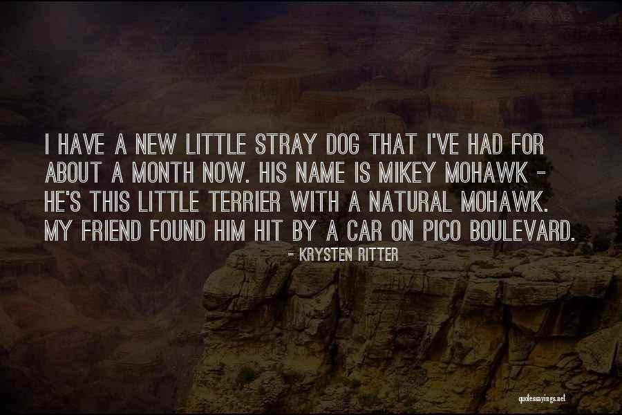 A New Found Friend Quotes By Krysten Ritter