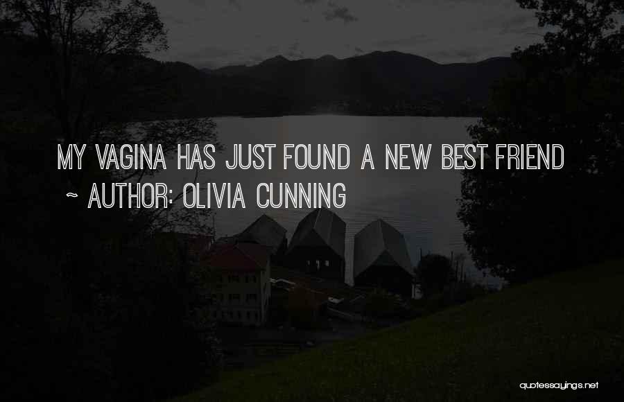 A New Found Friend Quotes By Olivia Cunning