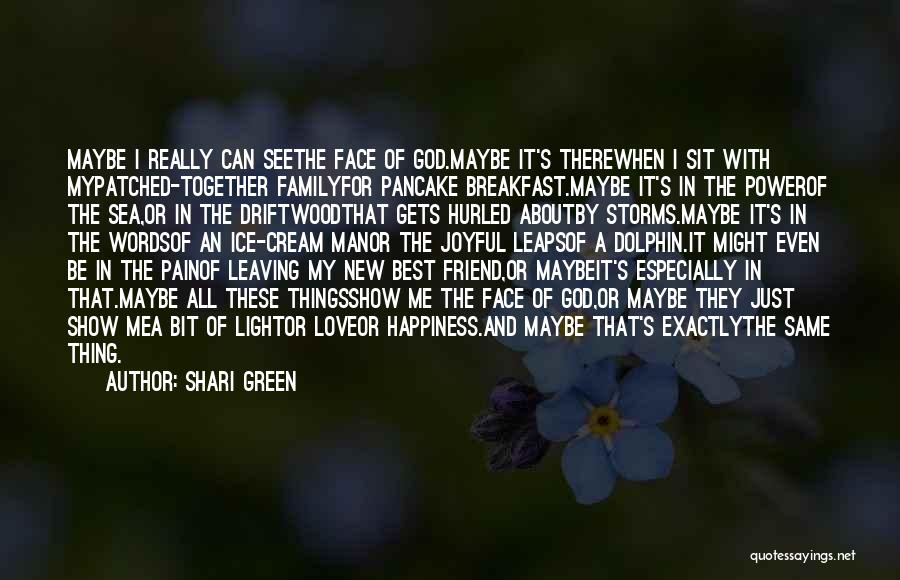 A New Friend Quotes By Shari Green