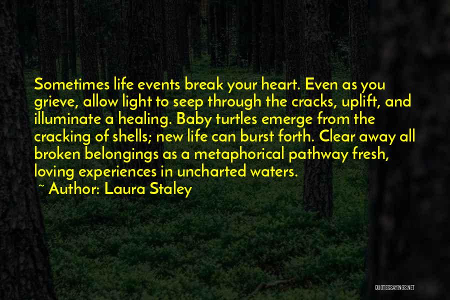 A New Life Baby Quotes By Laura Staley