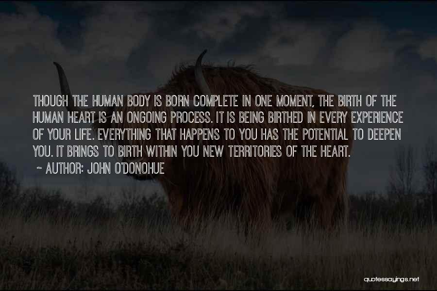 A New Life Being Born Quotes By John O'Donohue