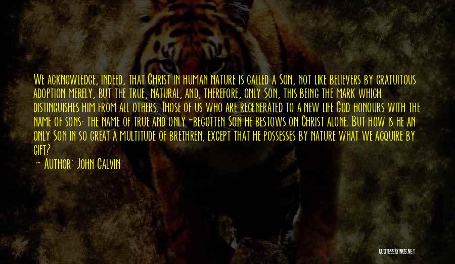 A New Life In Christ Quotes By John Calvin