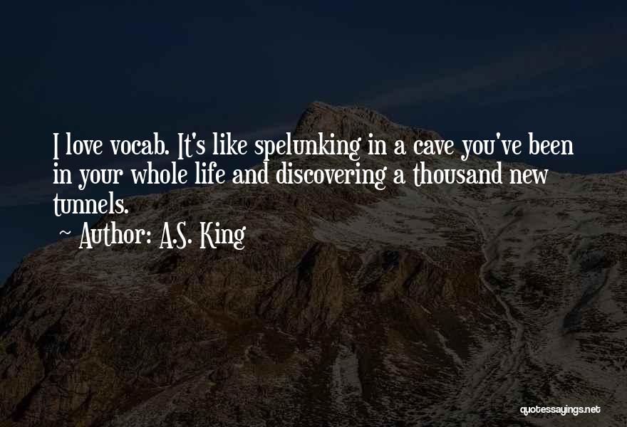 A New Love In Your Life Quotes By A.S. King