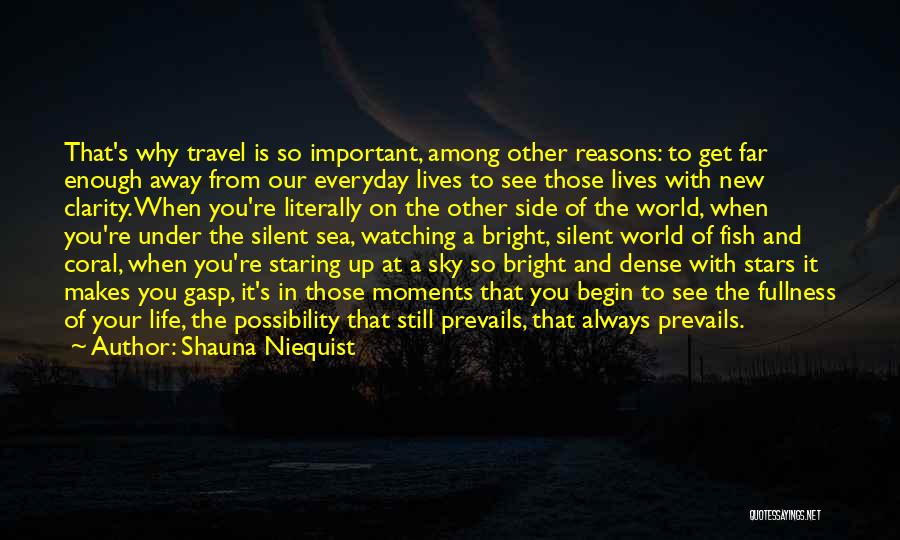 A New World Quotes By Shauna Niequist