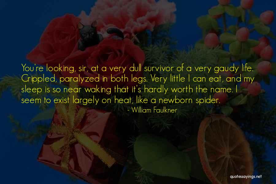 A Newborn Quotes By William Faulkner A Newborn Quotes By William Faulkner
