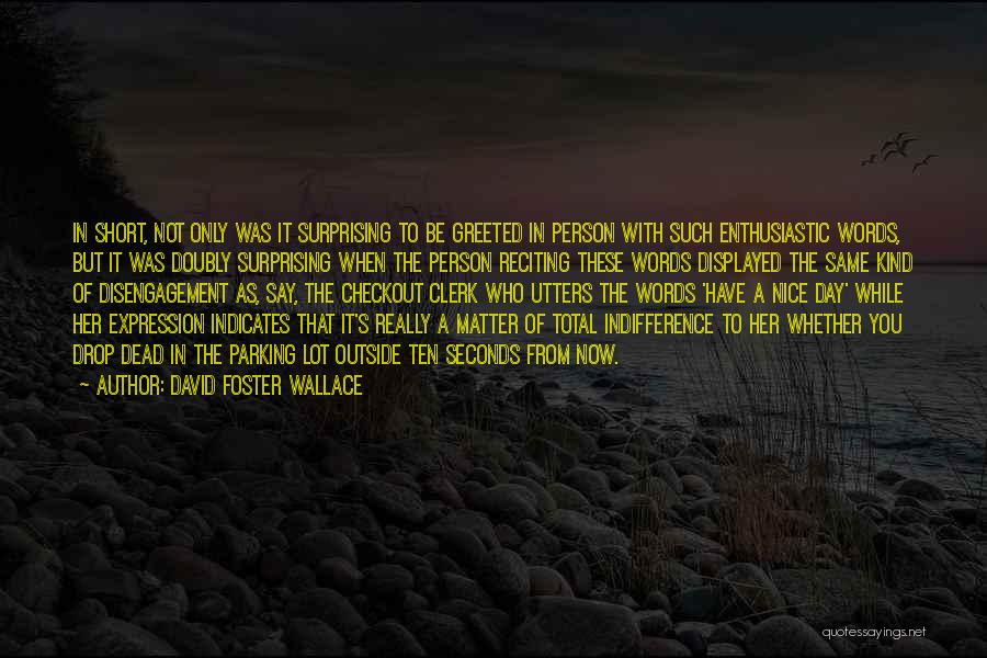 A Nice Day Quotes By David Foster Wallace