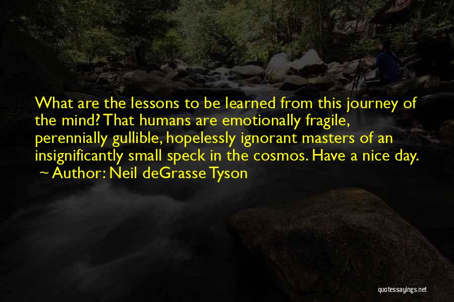 A Nice Day Quotes By Neil DeGrasse Tyson