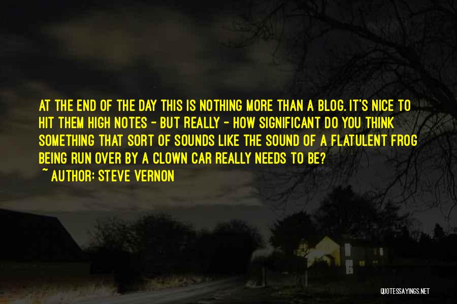 A Nice Day Quotes By Steve Vernon