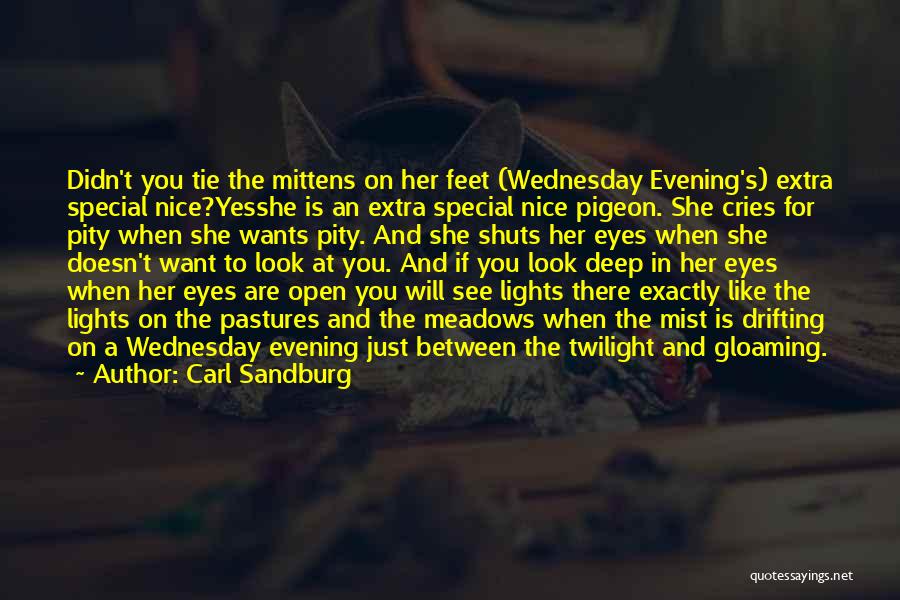 A Nice Evening Quotes By Carl Sandburg