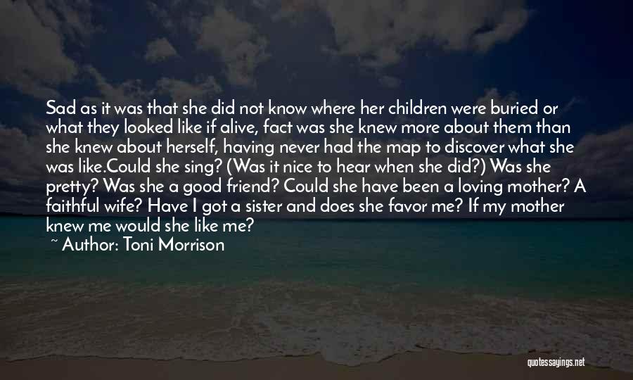 A Nice Friend Quotes By Toni Morrison