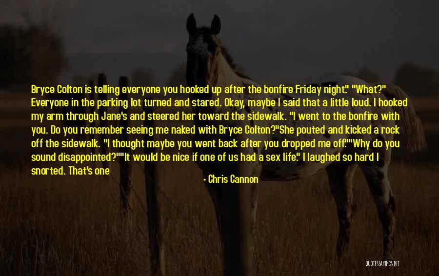 A Nice Night Quotes By Chris Cannon A Nice Night Quotes By Chris Cannon