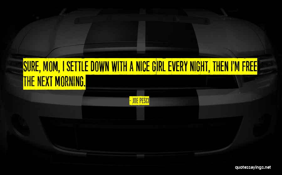 A Nice Night Quotes By Joe Pesci A Nice Night Quotes By Joe Pesci