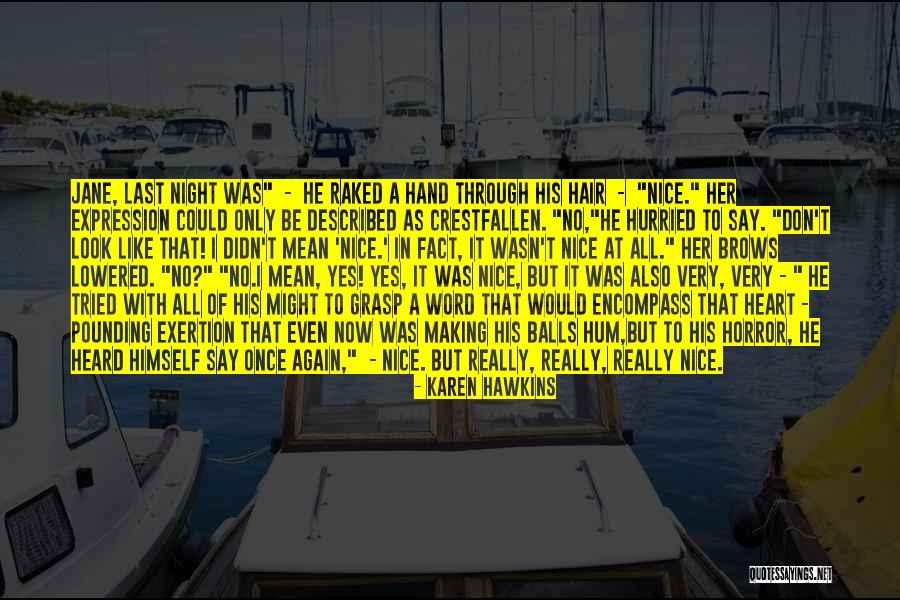 A Nice Night Quotes By Karen Hawkins A Nice Night Quotes By Karen Hawkins