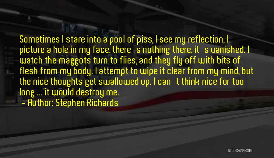 A Nice Picture Quotes By Stephen Richards