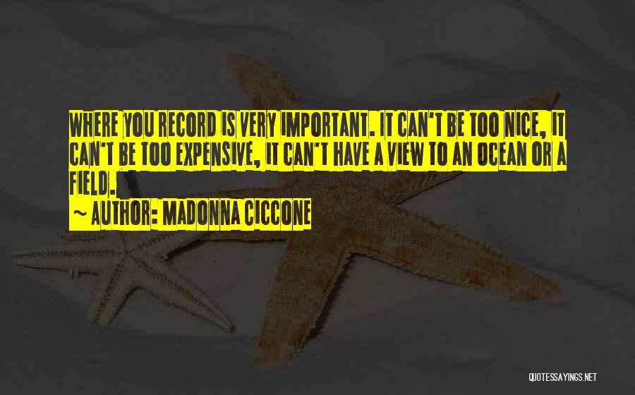 A Nice View Quotes By Madonna Ciccone